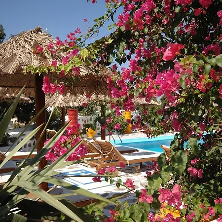 Hotel apartamentowy Sun Of Mykonos