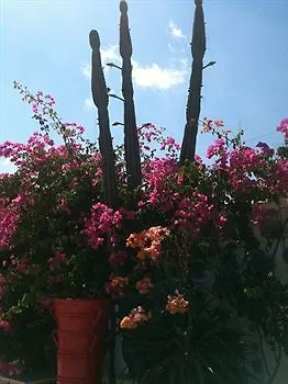 Ξενοδοχείο με διαμερίσματα Sun Of Mykonos 3*