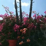 Aparthotel Sun Of Mykonos 3*
